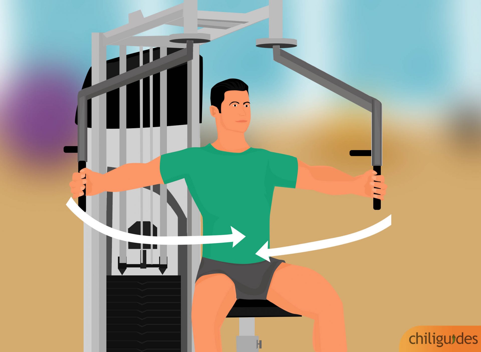 Pec Fly Buying Guide: Tips With Illustrations - chiliguides