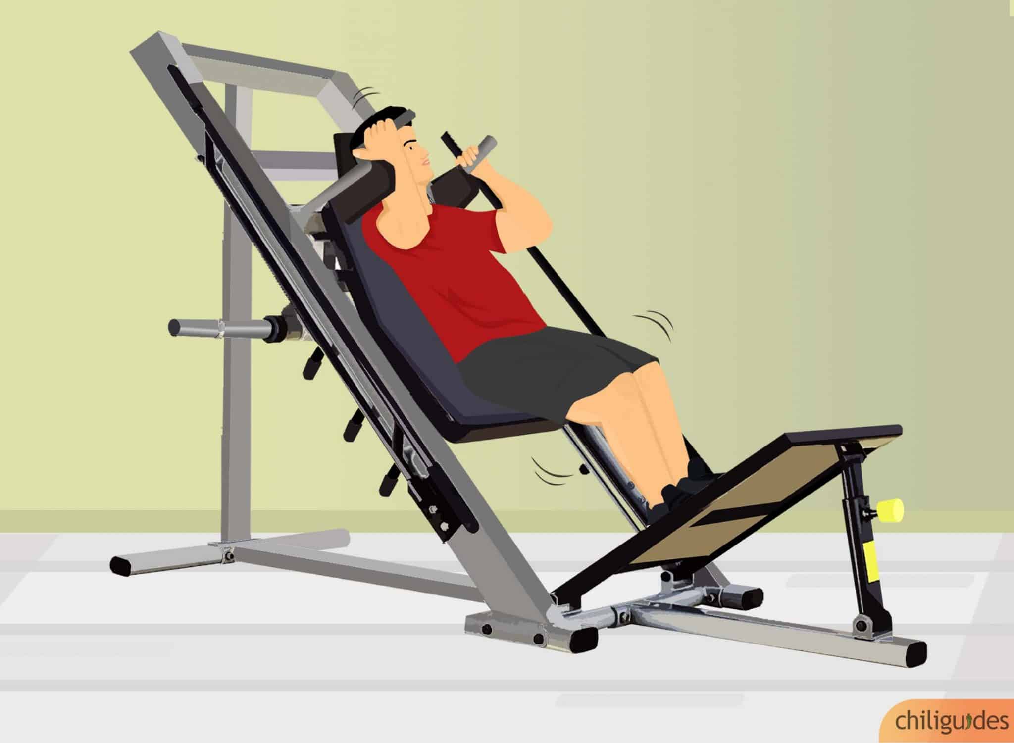 Hack Squat Machine Buying Guide Tips With Illustrations