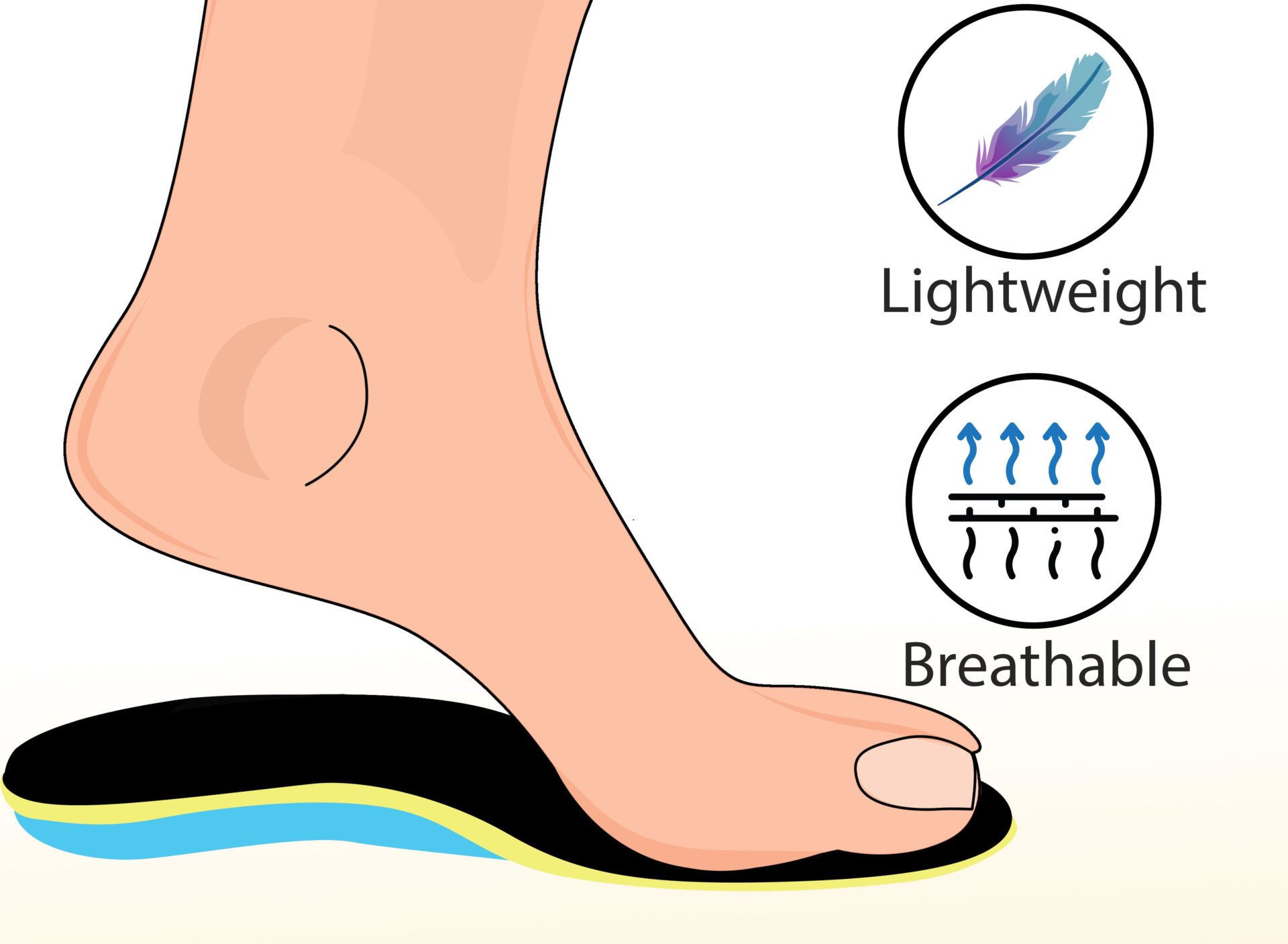 What is Arch Support